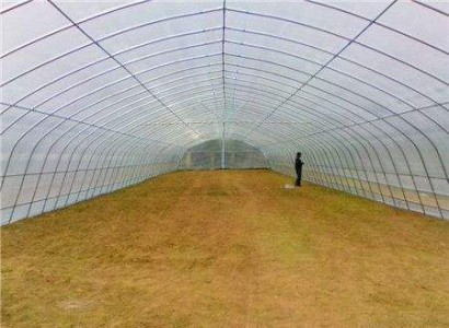 簡(jiǎn)易型拱棚