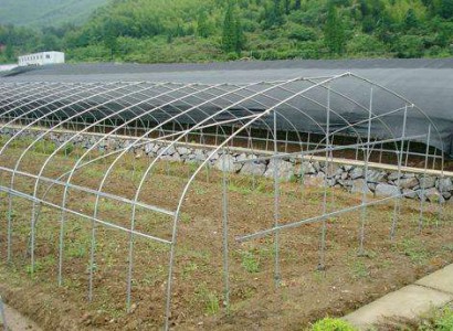 簡(jiǎn)易型拱棚